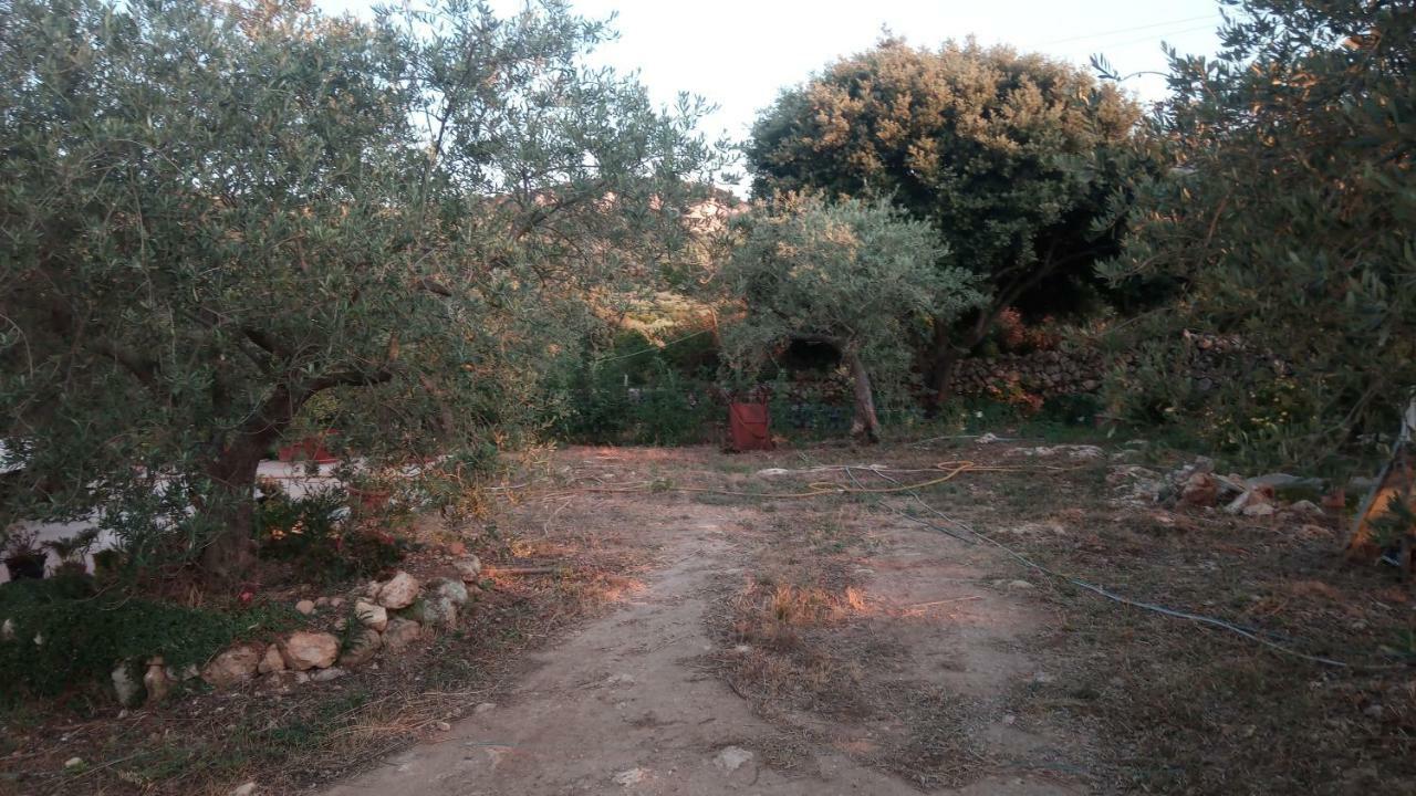 Residence Degli Ulivi Ossi 외부 사진